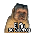 Stickers de Memes para WhatsApp