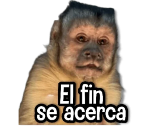 Stickers de Memes para WhatsApp
