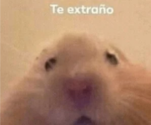 Stickers de Novios para WhatsApp