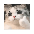 Stickers Random para WhatsApp