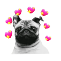 Stickers de Amor para Whatsapp