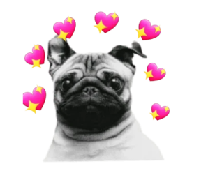 Stickers de Amor para Whatsapp