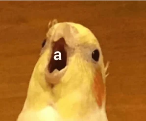 Stickers de Aves para WhatsApp